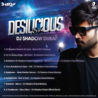 Best of 2017 Mashup DJ Shadow Dubai & DJ Ansh